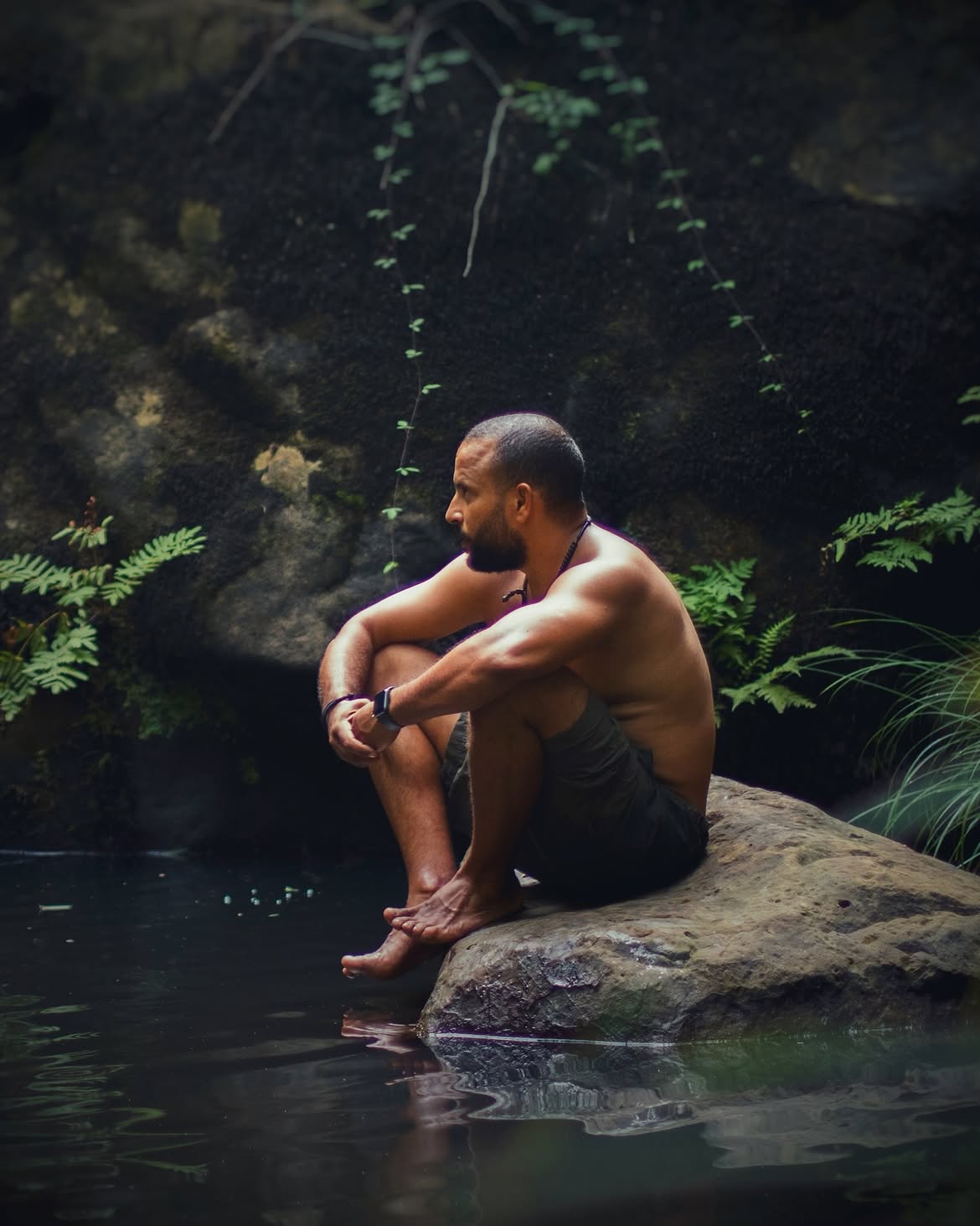 Person resting beside a forest stream
