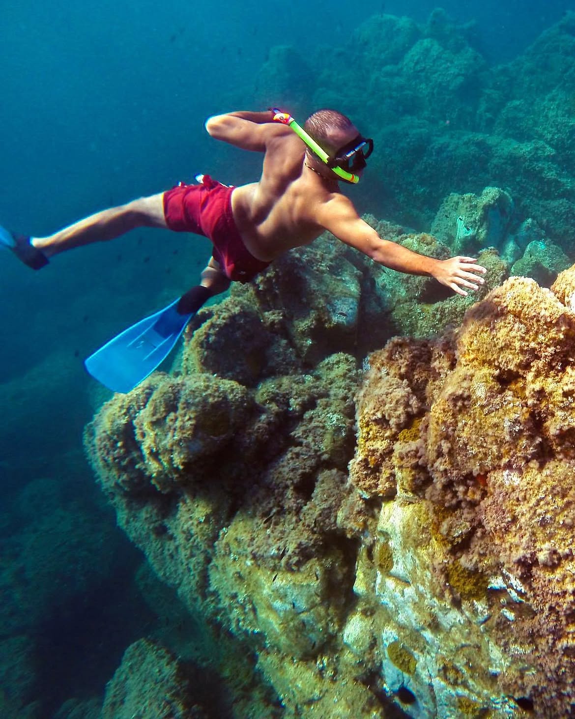 Swimmer underwater above a coral reef