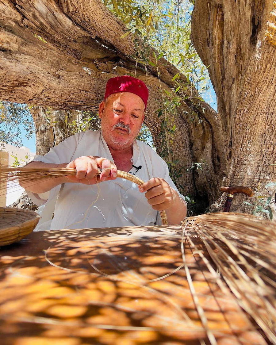 Man eating beneath a large tree