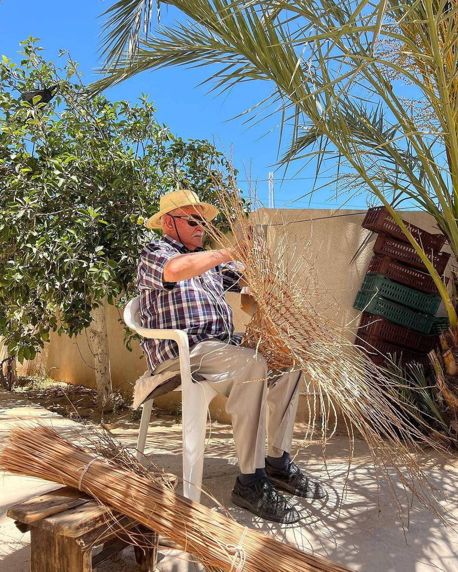 Man seated beneath palm trees in a woven shade shelter